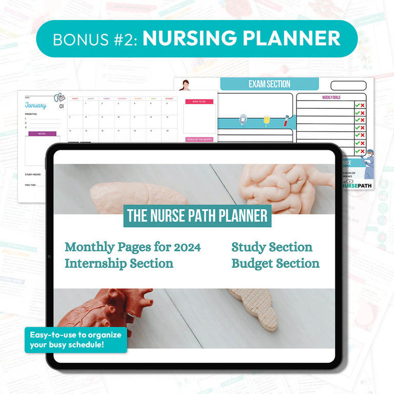 The Ultimate Nurse Path Bundle